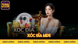 Ảnh đại diện xóc đĩa MD5